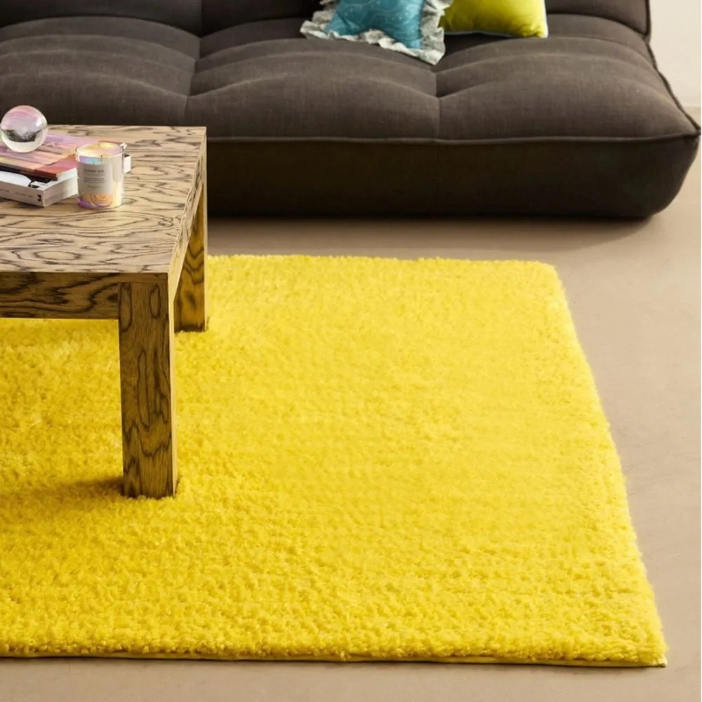 URBAN OUTFITTERS Shag Rug